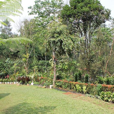 The Forest Villa Bogor Zewnętrze zdjęcie