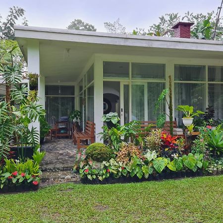 The Forest Villa Bogor Zewnętrze zdjęcie