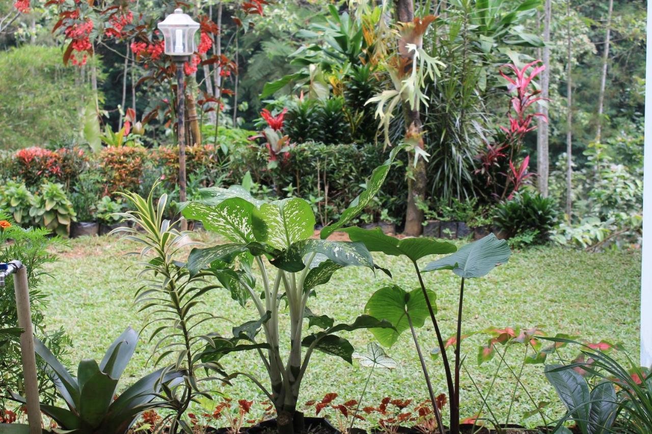 The Forest Villa Bogor Zewnętrze zdjęcie