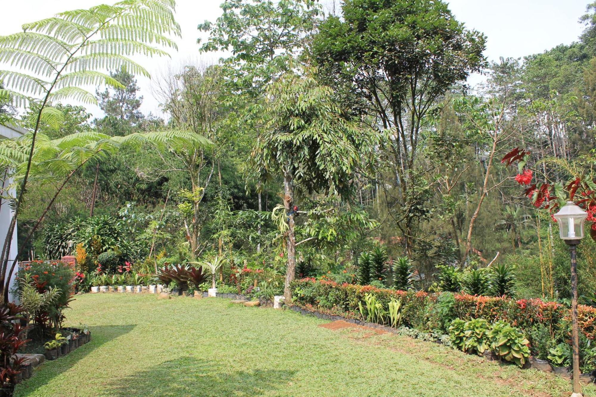 The Forest Villa Bogor Zewnętrze zdjęcie