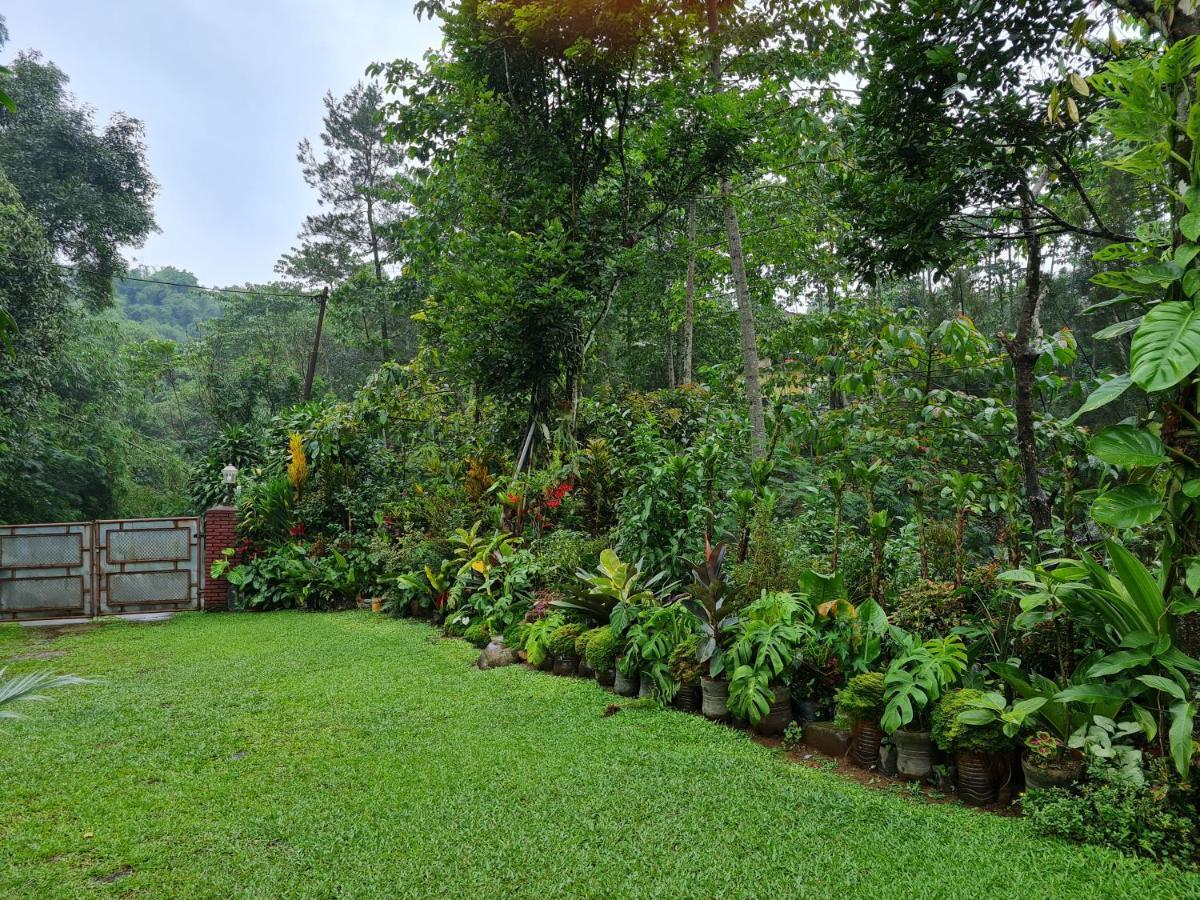The Forest Villa Bogor Zewnętrze zdjęcie