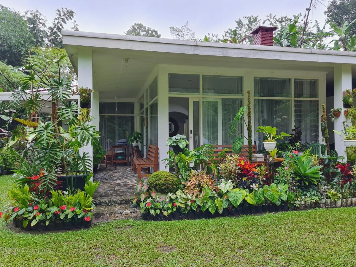 The Forest Villa Bogor Zewnętrze zdjęcie