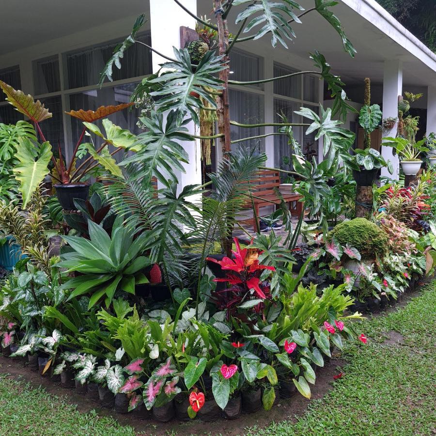The Forest Villa Bogor Zewnętrze zdjęcie